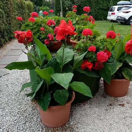 Ferienwohnung Fuer 2 Personen Am Seeufer Apartment Balatonmariafurdo
